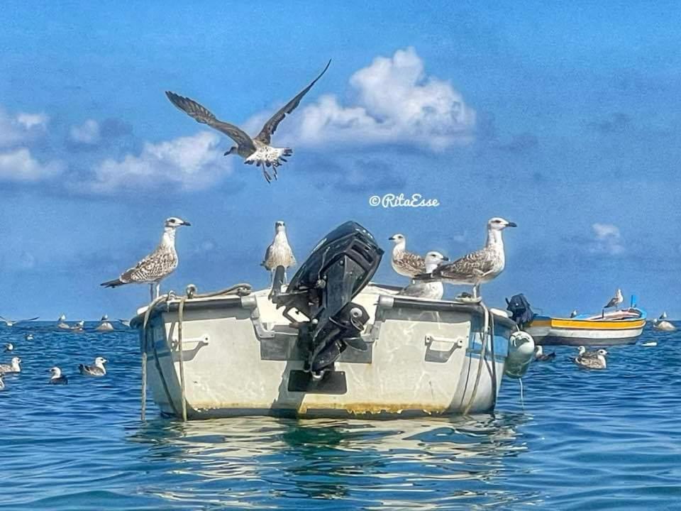 Appartamento Casa Il Sogno di Ludovica Bagheria Esterno foto